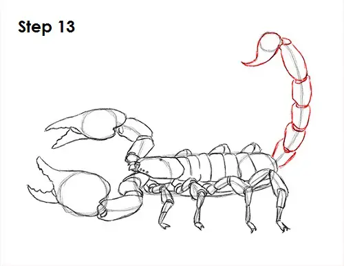 Draw Scorpion 13
