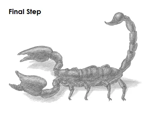 Draw a Scorpion
