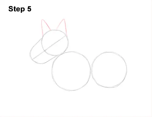How to Draw a Scottish Terrier Puppy Dog Side 5
