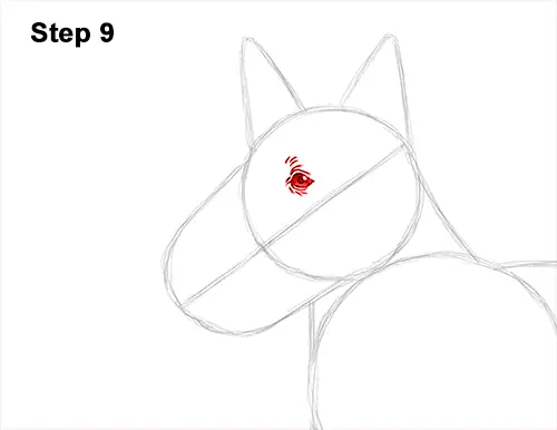 How to Draw a Scottish Terrier Puppy Dog Side 9