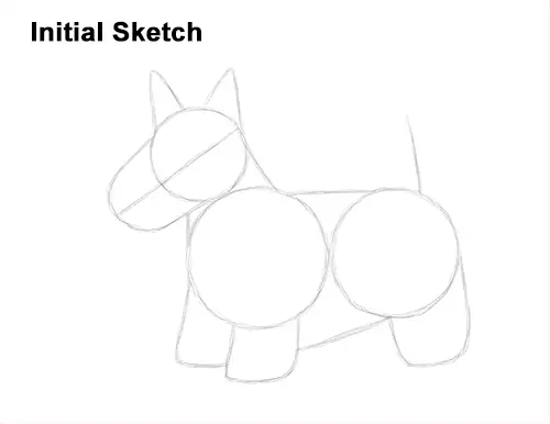 How to Draw a Scottish Terrier Puppy Dog Side Guide Lines