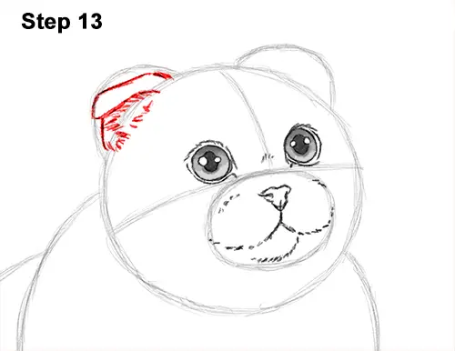 How to Draw a Scottish Fold Cat Playing Pawing Swiping 13