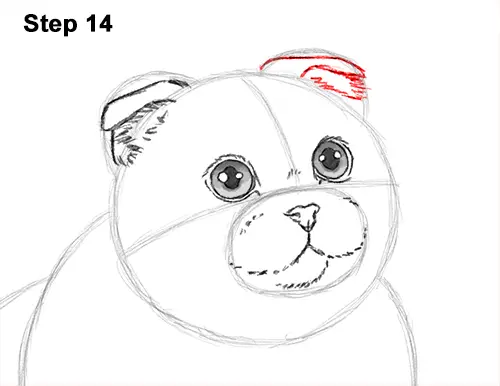 How to Draw a Scottish Fold Cat Playing Pawing Swiping 14