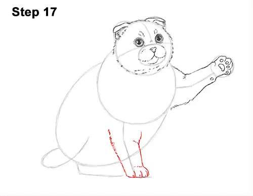 How to Draw a Scottish Fold Cat Playing Pawing Swiping 17