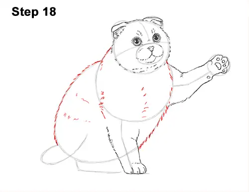 How to Draw a Scottish Fold Cat Playing Pawing Swiping 18