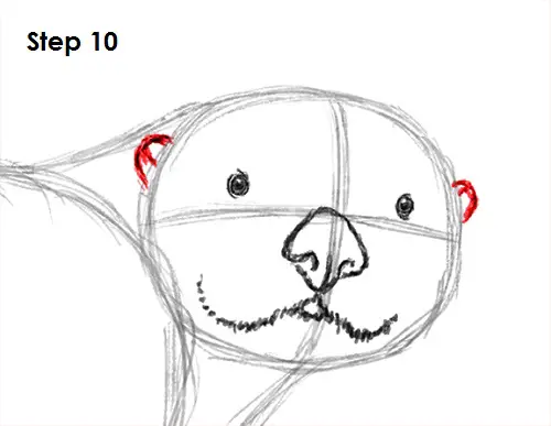 Draw Sea Otter 10