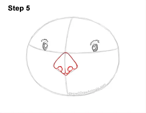 How to Draw a Sea Otter Head Portrait Face 5