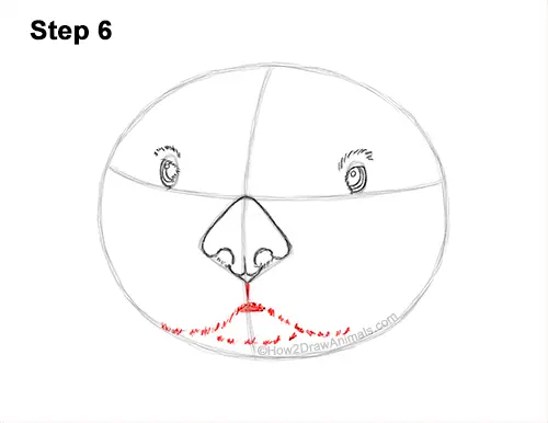 How to Draw a Sea Otter Head Portrait Face 6