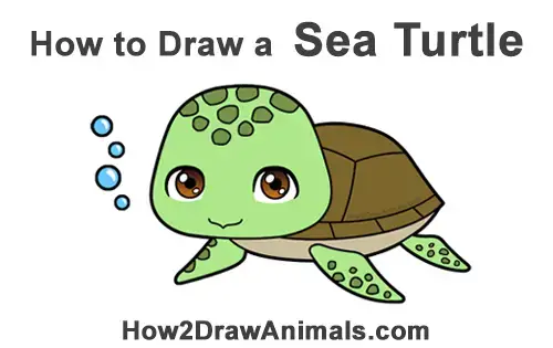 How to Draw a Sea Turtle (Cartoon) VIDEO & Step-by-Step Pictures