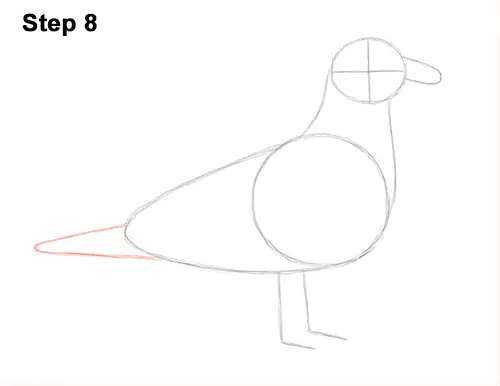 How to Draw a Seagull