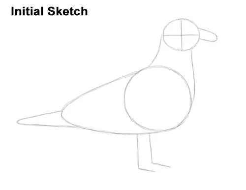 How to Draw a Seagull