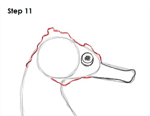 Draw a Seahorse 11