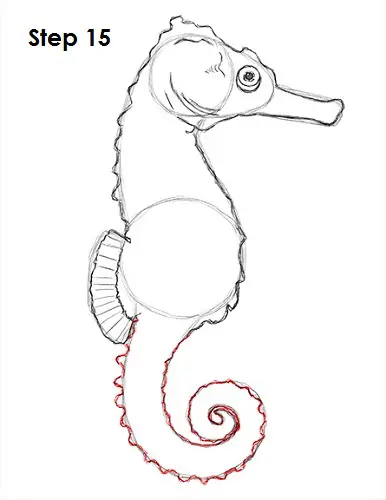 Draw a Seahorse 15