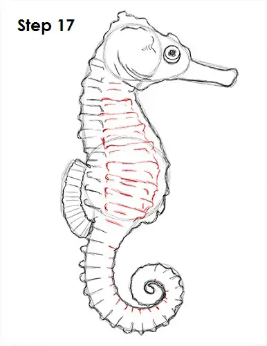 Seahorse Drawing Images – Browse 30,025 Stock Photos, Vectors, and Video |  Adobe Stock