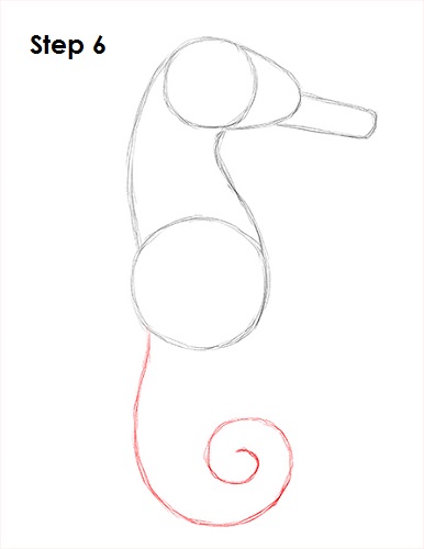 Draw a Seahorse 6