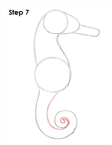 Draw a Seahorse 7
