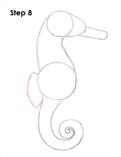 Draw a Seahorse 8