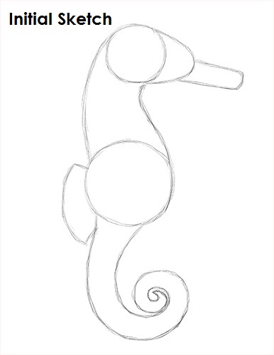 Draw a Seahorse Sketch