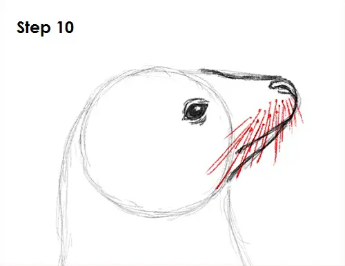 Draw Seal 10