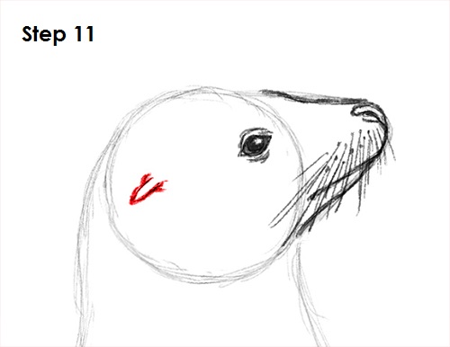 Draw Seal 11