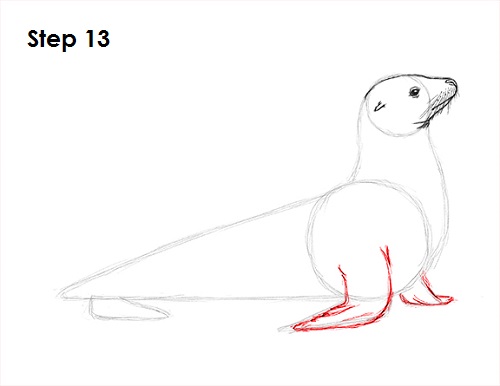 Draw Seal 13