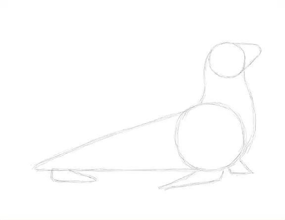 Draw Seal Sketch