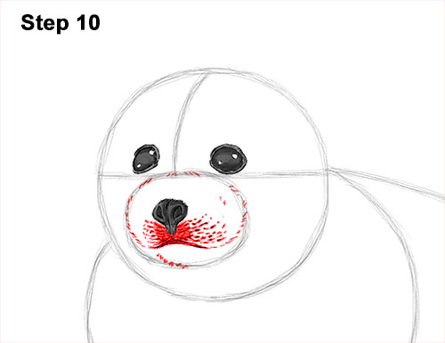 How to Draw a Fluffy Cute Baby Harp Seal Pup 10