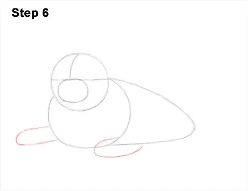 How to Draw a Fluffy Cute Baby Harp Seal Pup 6