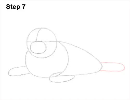 How to Draw a Fluffy Cute Baby Harp Seal Pup 7