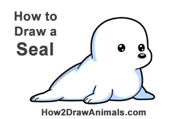 harp seal pup drawing