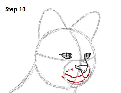 Draw Serval 10