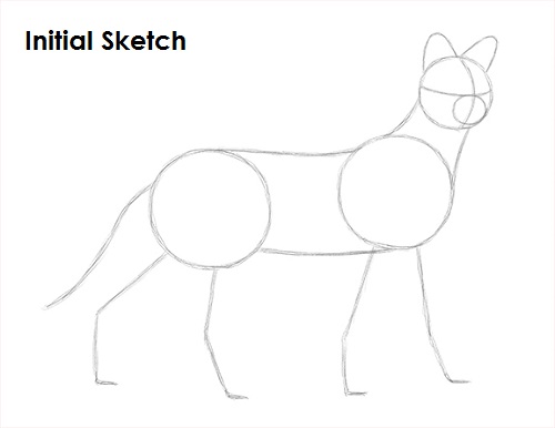 Draw Serval Sketch