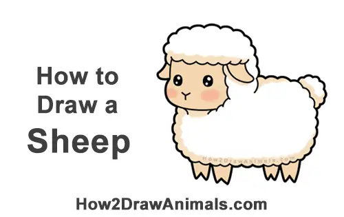 How To Draw A Cartoon Sheep Step by Step Drawing Guide by Dawn  DragoArt