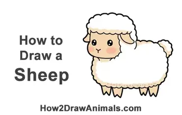 How To Draw A Sheep Cartoon Video Step By Step Pictures