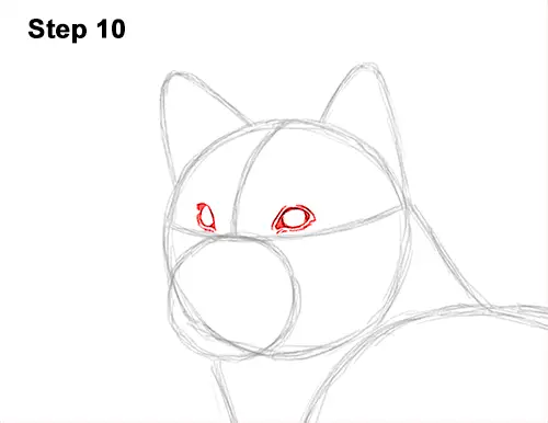 How to Draw a Shiba Inu Puppy Dog 10