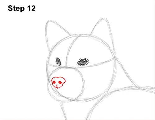 How to Draw a Shiba Inu Puppy Dog 12