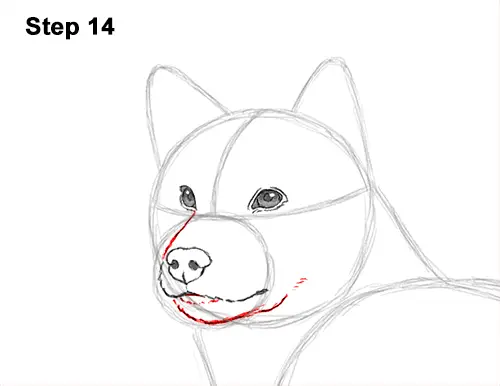 How to Draw a Shiba Inu Puppy Dog 14