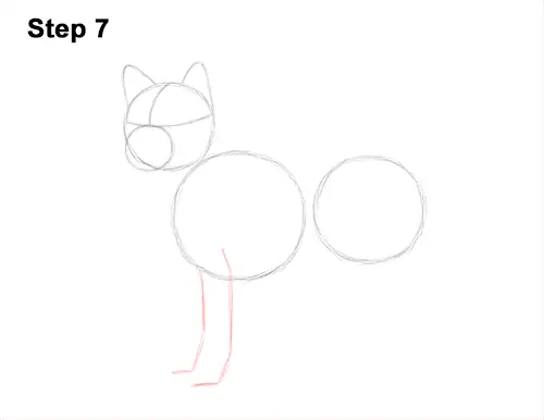 How to Draw a Shiba Inu Puppy Dog 7