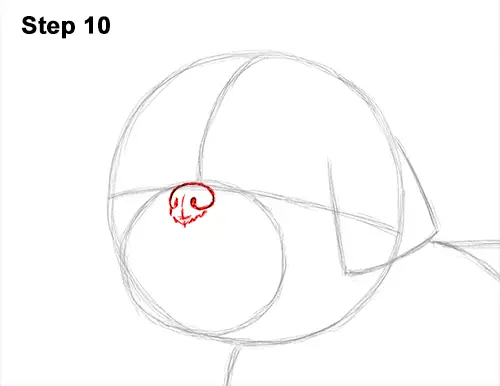 How to Draw a Cute Shih Tzu Puppy Dog 10