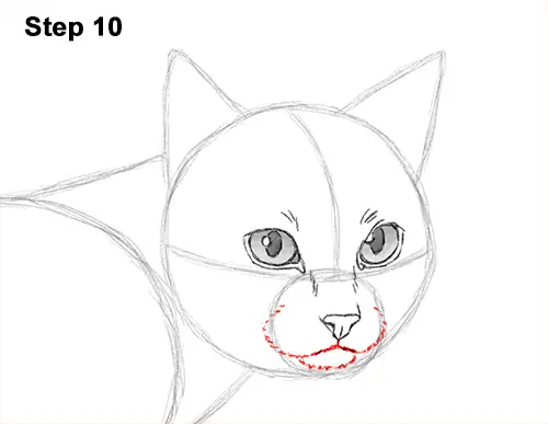 Draw Siamese Cat 10