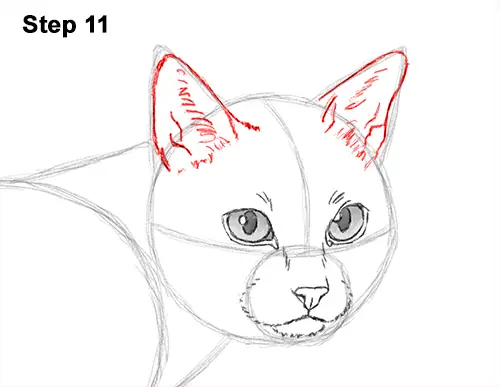 Draw Siamese Cat 11