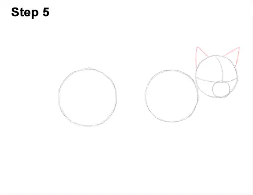 Draw Siamese Cat 5