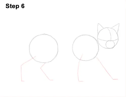 Draw Siamese Cat 6