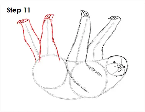 Draw Sloth 11
