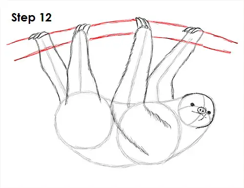 Draw Sloth 12