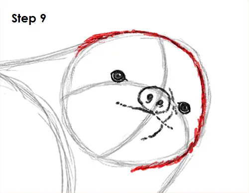 Draw Sloth 9