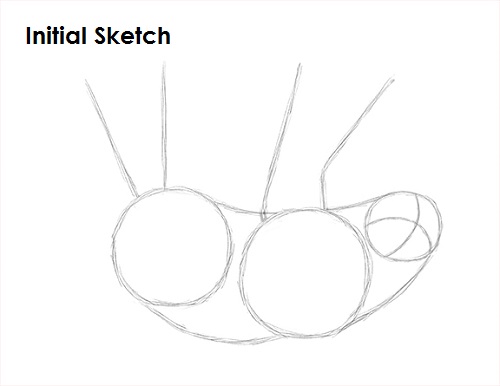 Draw Sloth Sketch