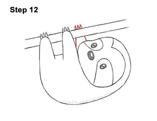 How to Draw Cute Cartoon Sloth Chibi Kawaii 12