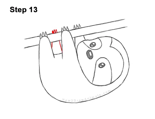 How to Draw Cute Cartoon Sloth Chibi Kawaii 13