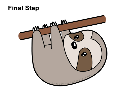 How to Draw Cute Cartoon Sloth Chibi Kawaii